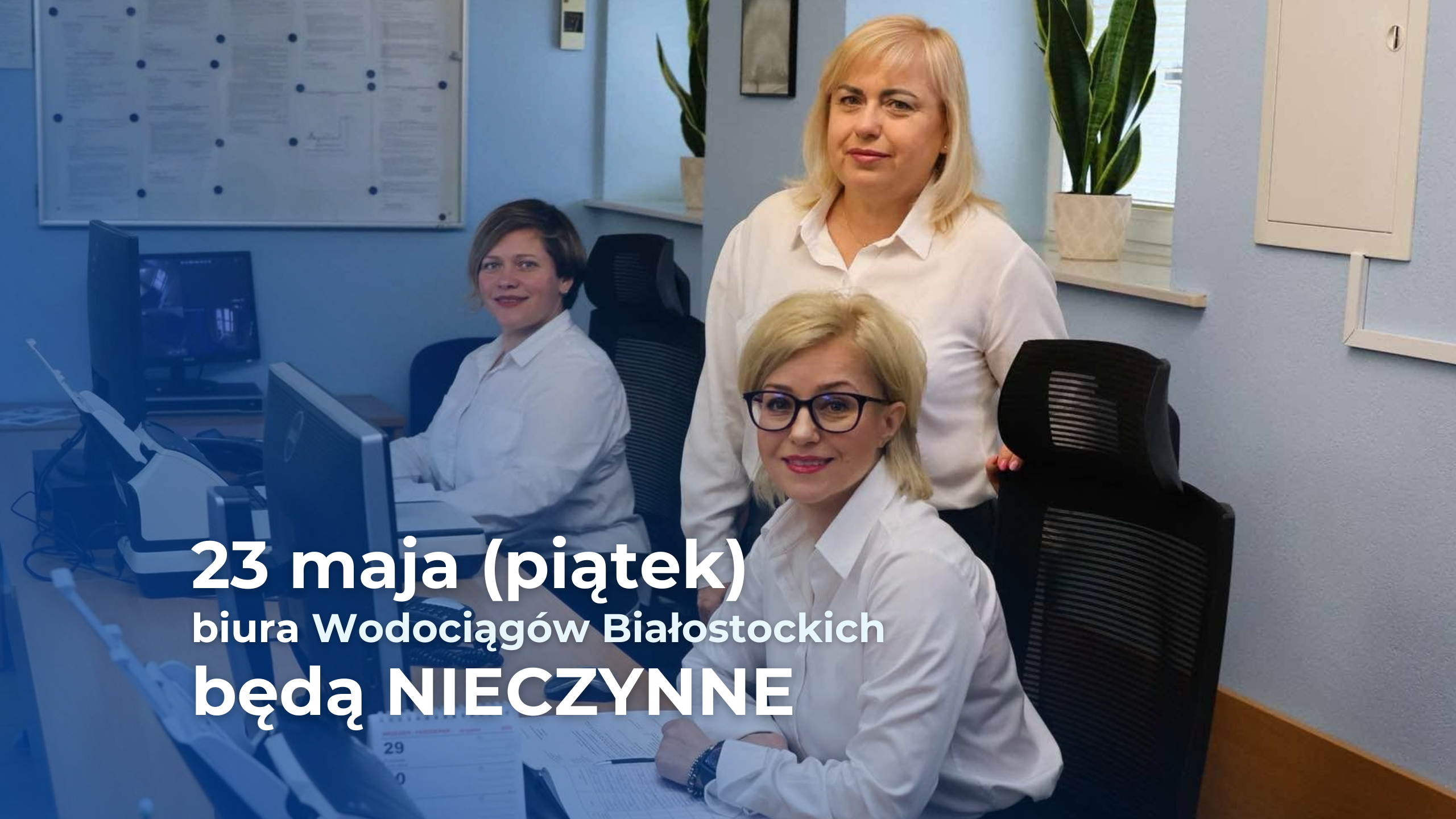 zdjęcie 16